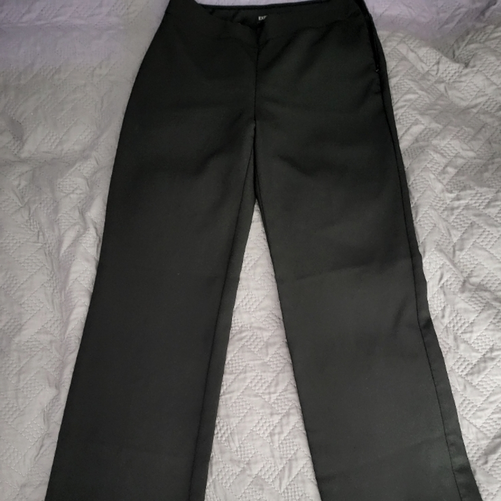 Express Dress Pants Womens Size 4